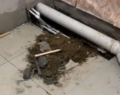 雁塔卫生间漏水检测哪家好